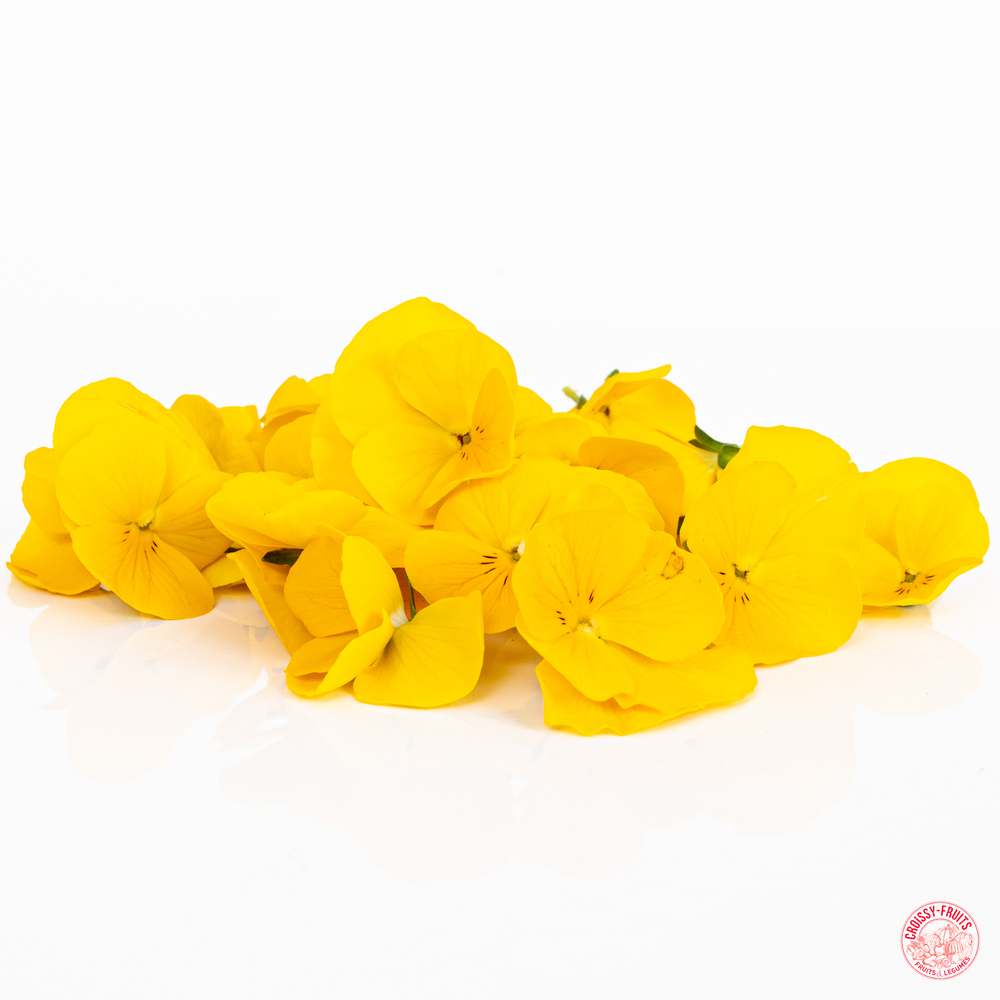 Fleur pensée jaune