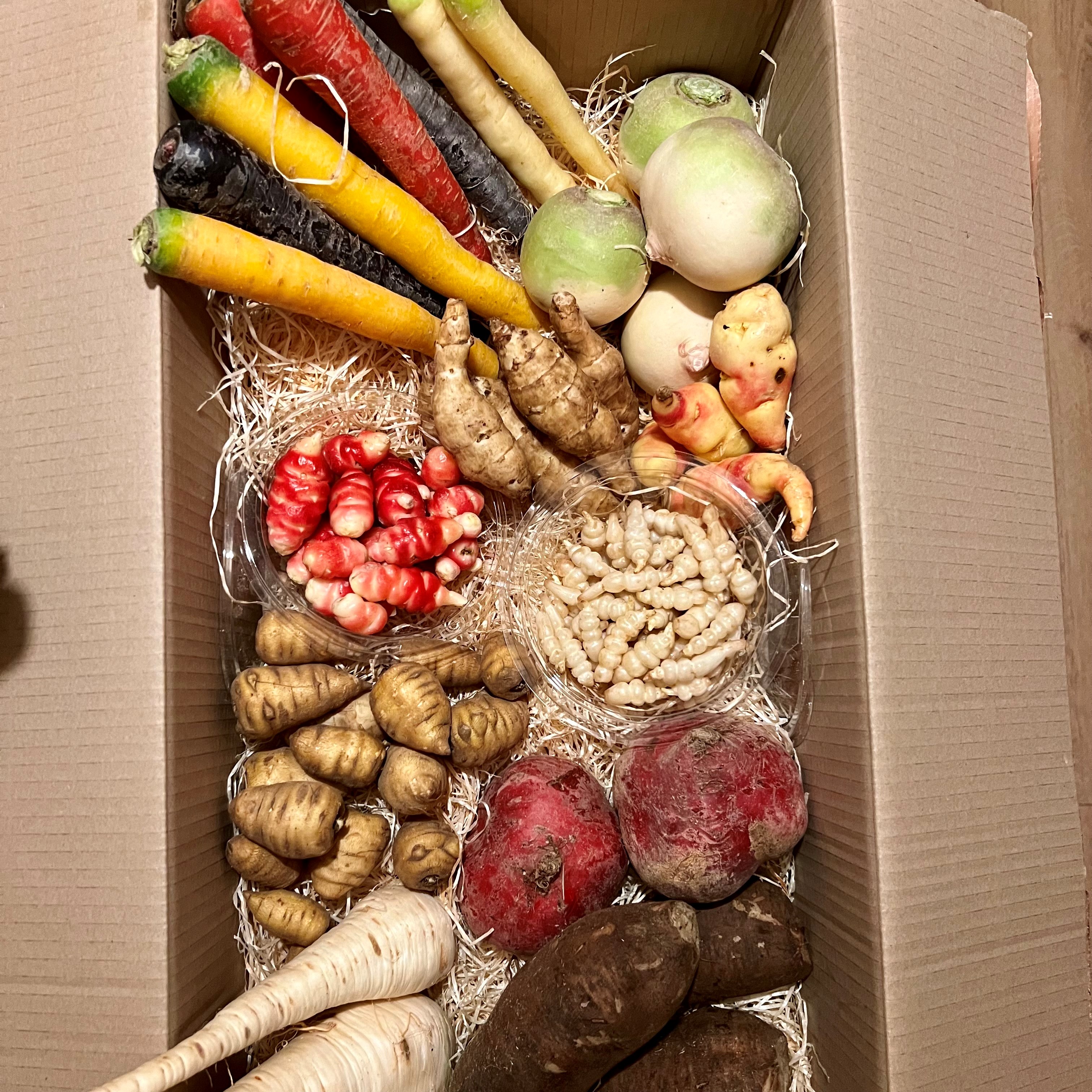 Box legumes oubliés de France