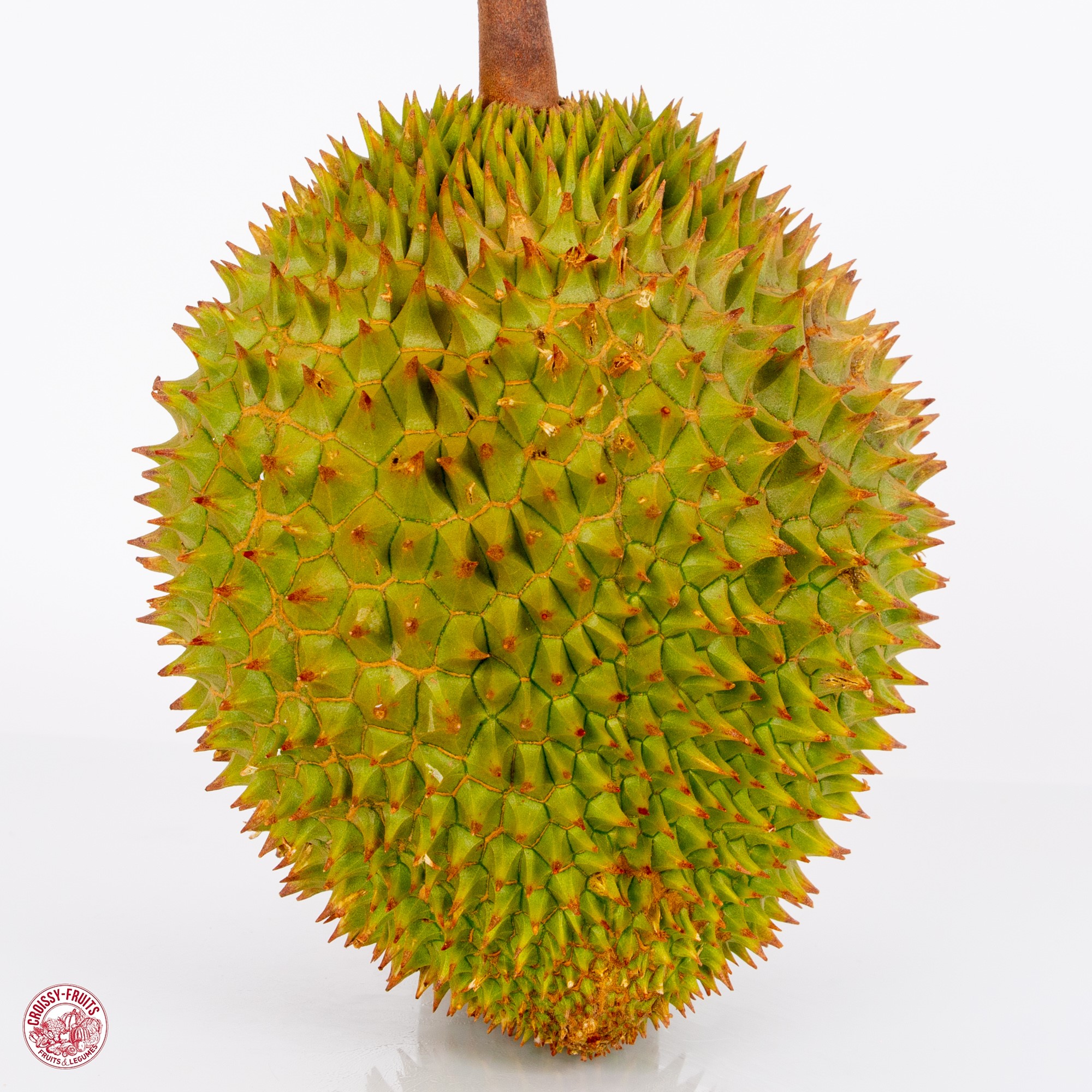 Durian RI6 (2.6kg)