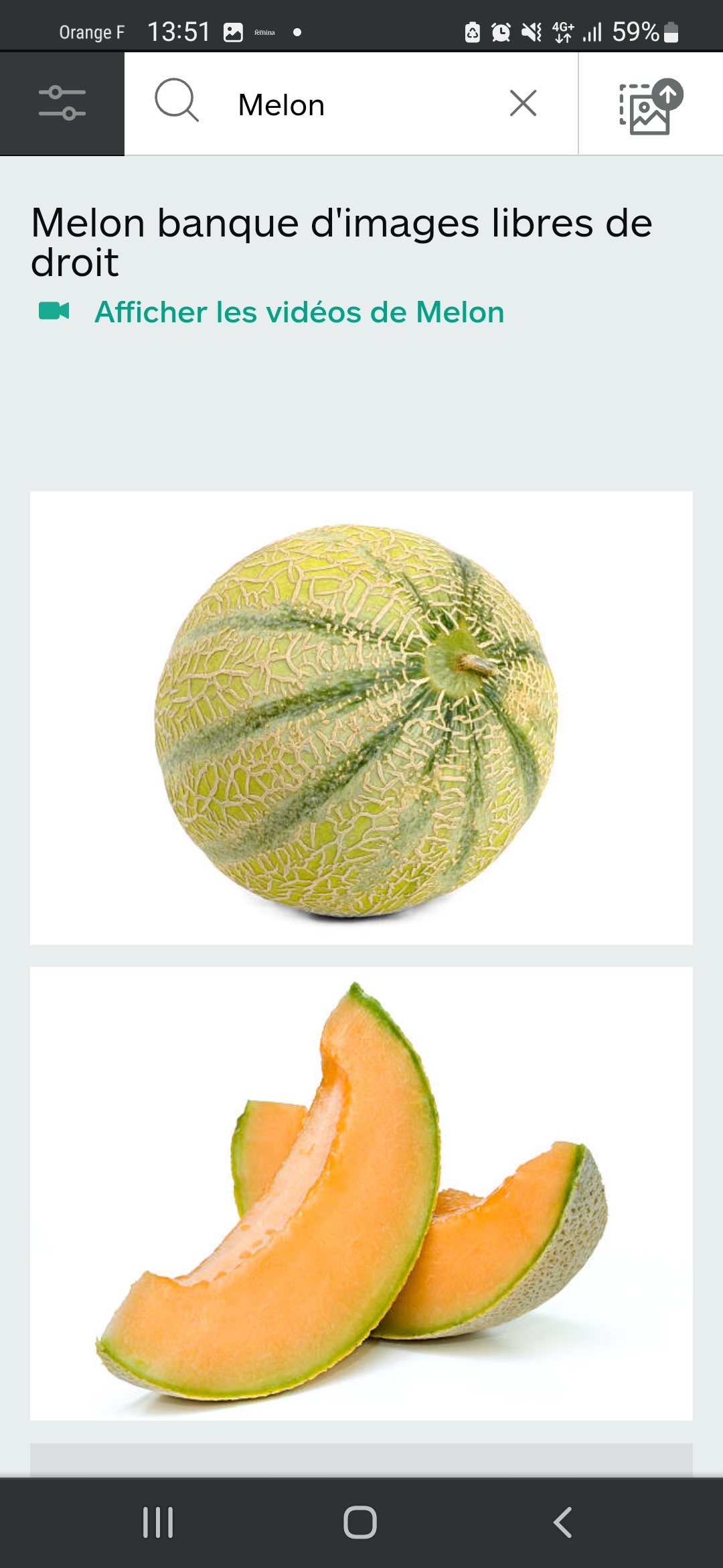 Melon Français