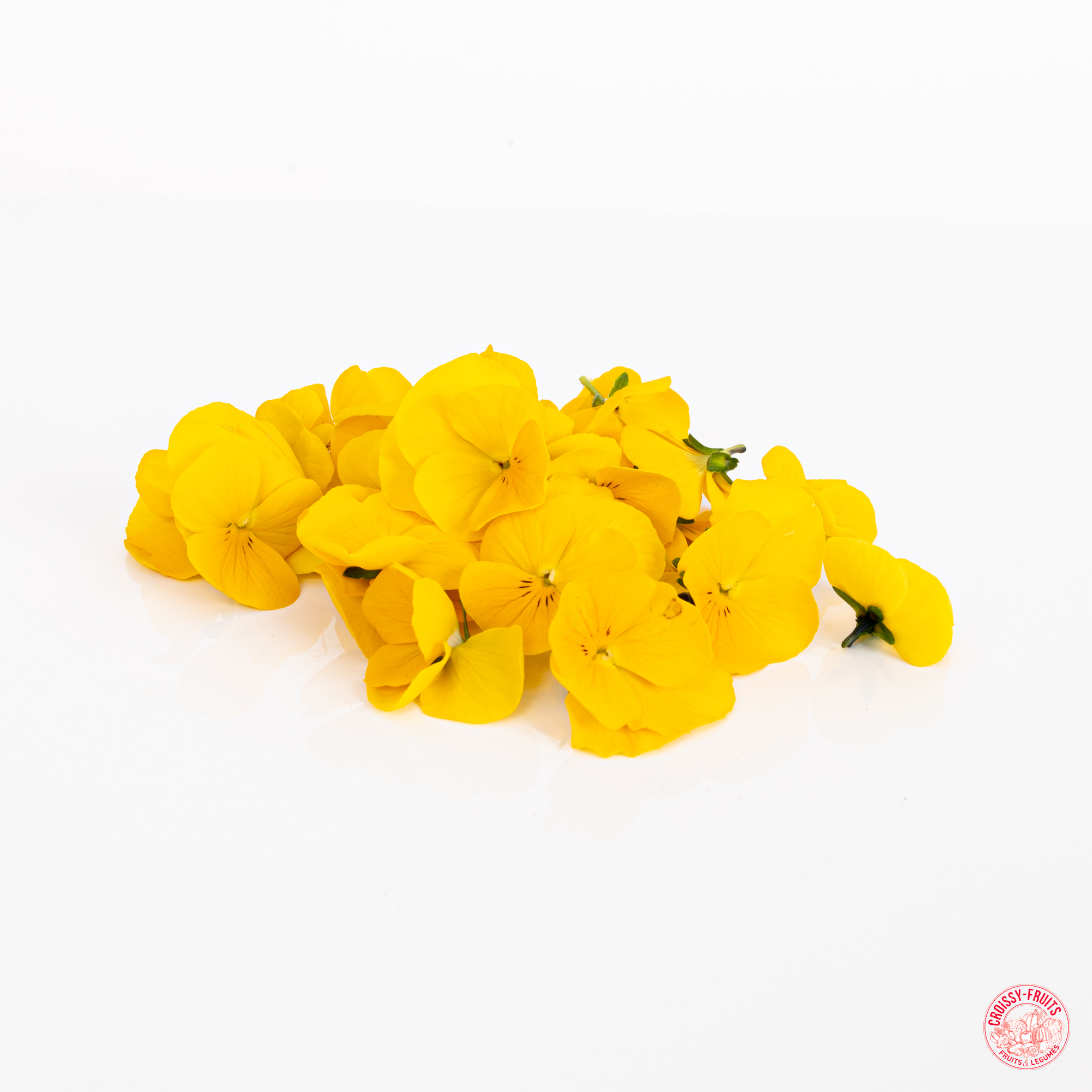 Fleur pensée jaune