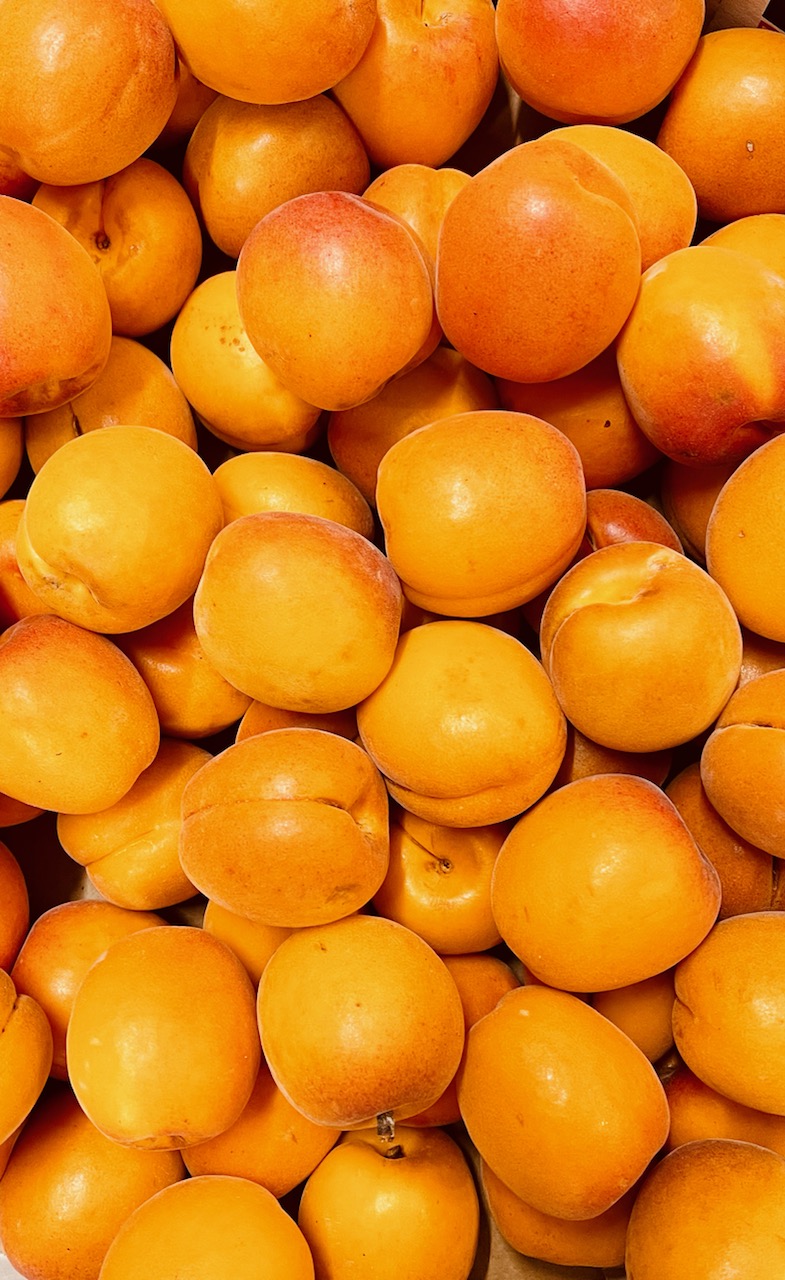 Abricot Français