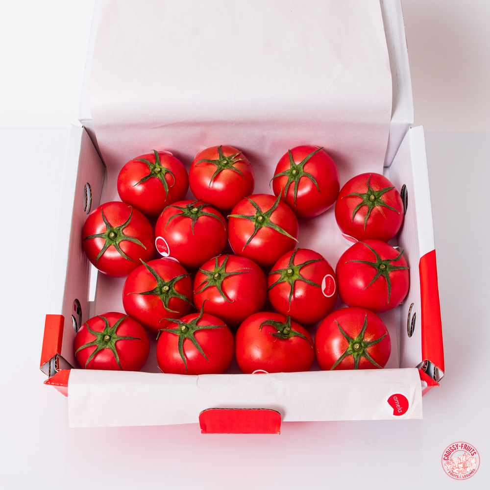 Box tomate AMELA 
